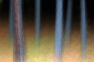 Enchanted Forest 2
